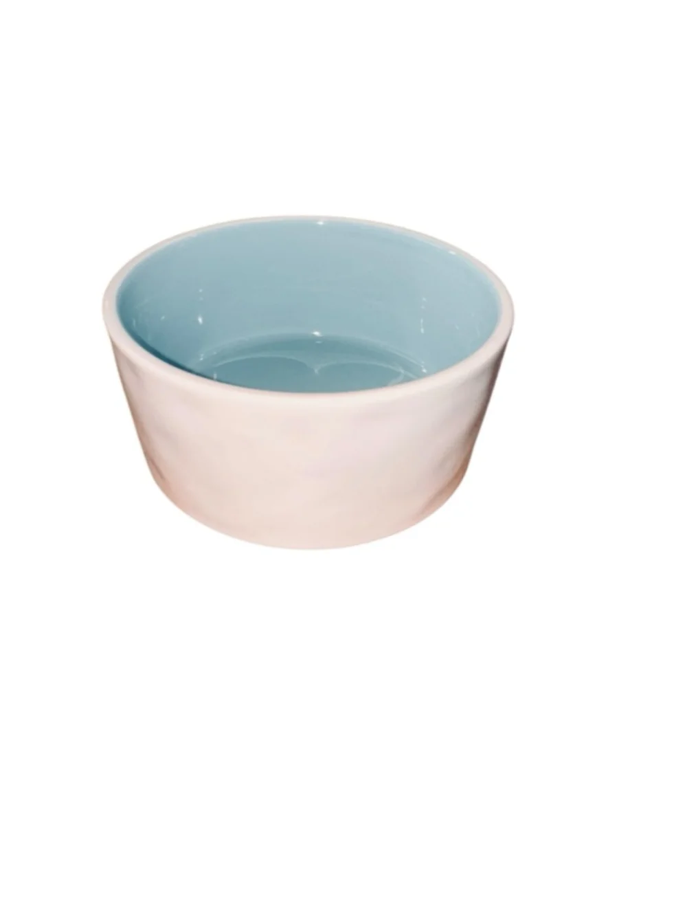 Rae Dunn SAVOR Cream Light Blue One Size pet Bowl